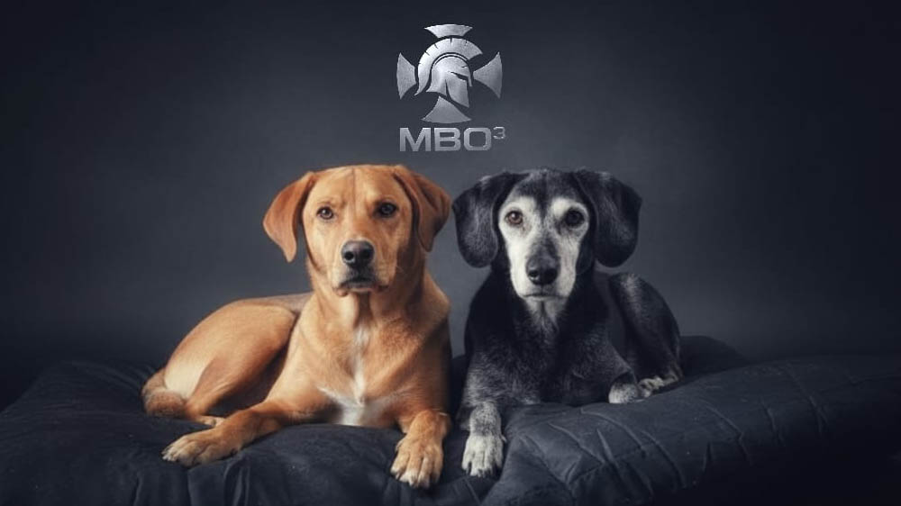 mbo3 peppie zippy